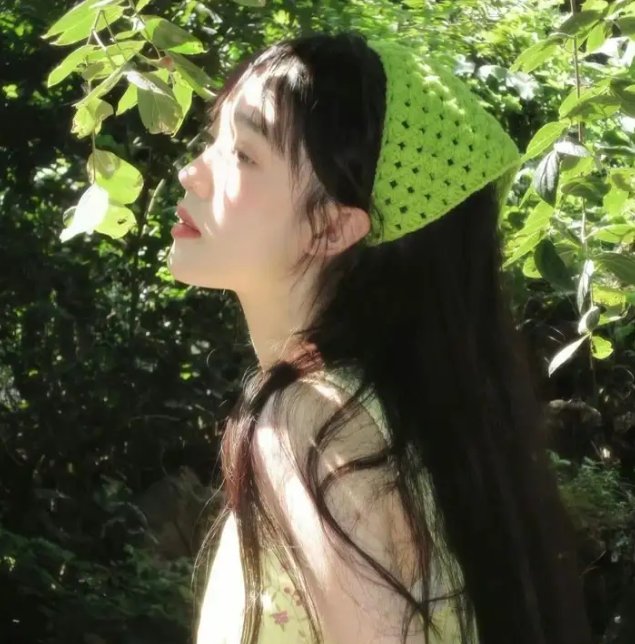 月陨回声封面
